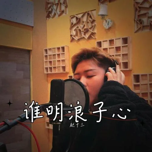 誰明浪子心-趙十三