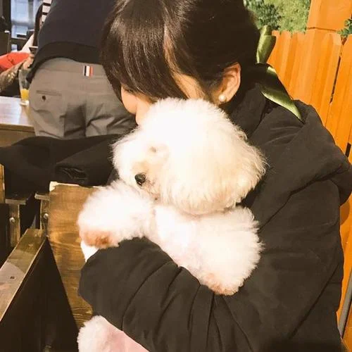 夏令時(shí)記錄-ゆめこ