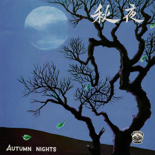 如果沒有你-白光