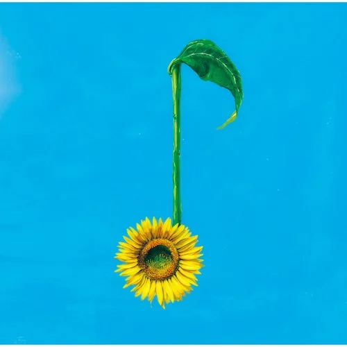 決意の朝に-Aqua Timez