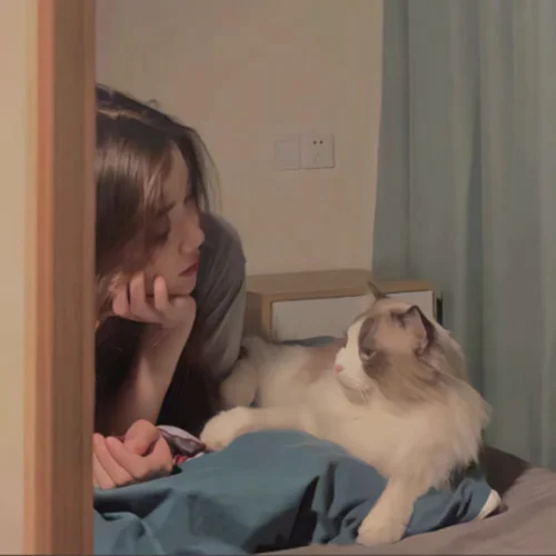 散盡人海 (DJ版)-陳叁叁