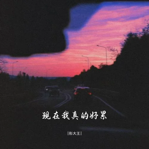 現(xiàn)在我真的好累-彤大王