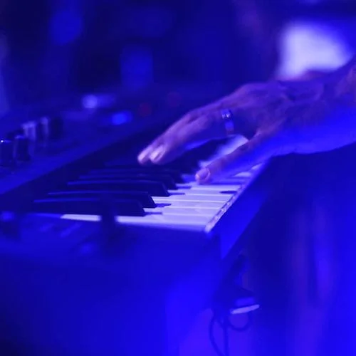 阿爾茲海默癥-Mushroom