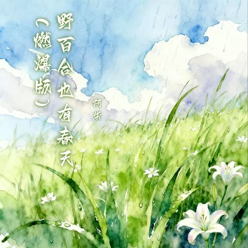 野百合也有春天 (Live合唱版)-阿柴