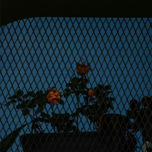 小曲一響 黃金萬兩-DJ青云