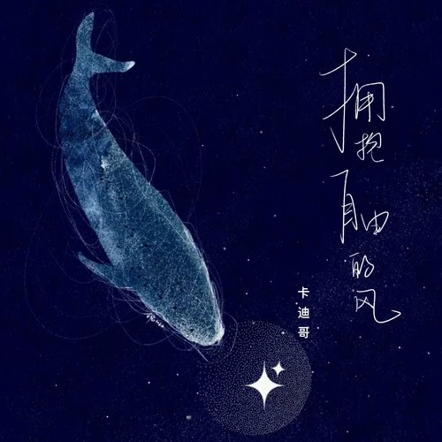 拥抱自由的风-卡迪哥