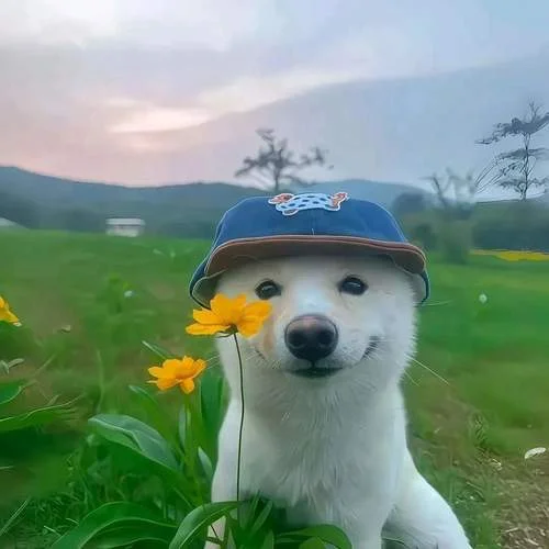 迷人的危險 (0.8x降調(diào)氛圍版)-Pao7oO