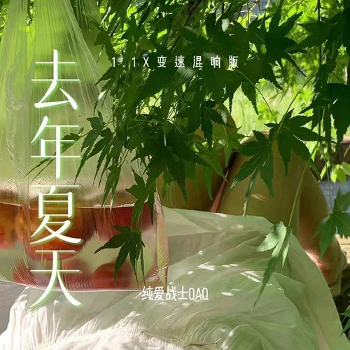 去年夏天(1.1x變速混響版)-純愛戰(zhàn)士QAQ