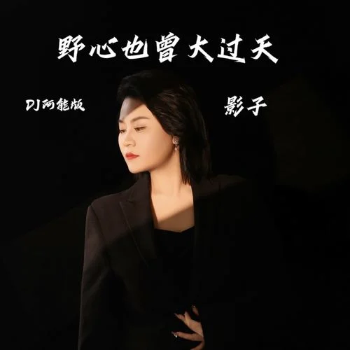 野心也曾大過天 (DJ阿能版)-影子