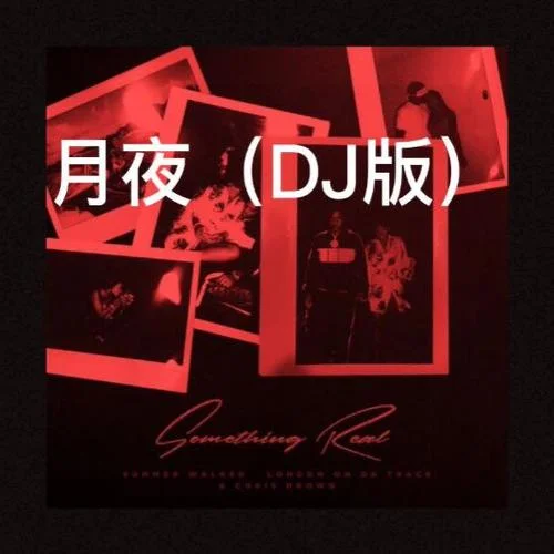 最好的安排(DJ版)-阿龍