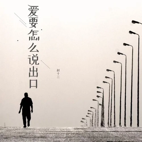 愛要怎么說出口 (女生版)-趙十三