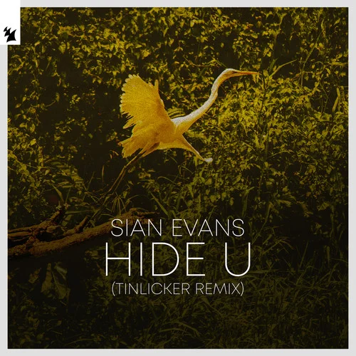 Hide U(Tinlicker Remix)-Sian Evans