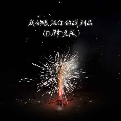 我的眼淚你的戰(zhàn)利品(DJ版)-于冬然