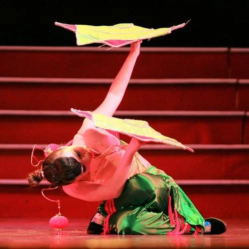 《夜宿花亭選段》姜艷芹 姜艷彬 -二人轉