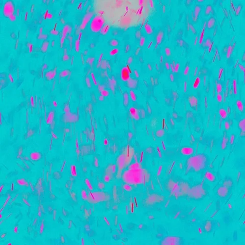 はじめましての気持ちを-daoko&神山羊