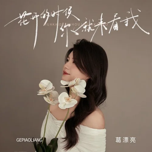 花開(kāi)的時(shí)候你就來(lái)看我 (DJ九零版)-葛漂亮