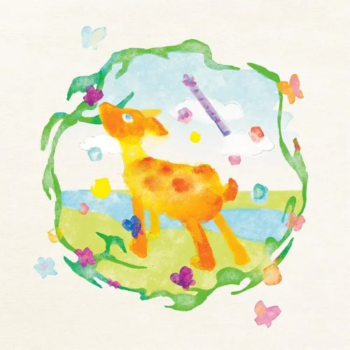 我出生的夏天-普阿山&Moonjellies