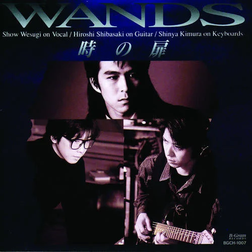 世界中の誰(shuí)よりきっと ～Album Version～-WANDS
