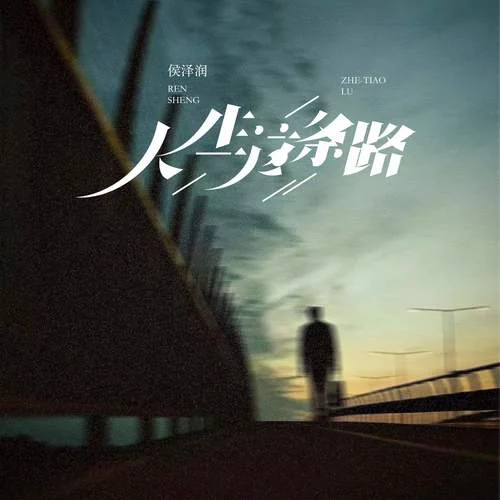 人生這條路 (DJ版)-侯澤潤(rùn)