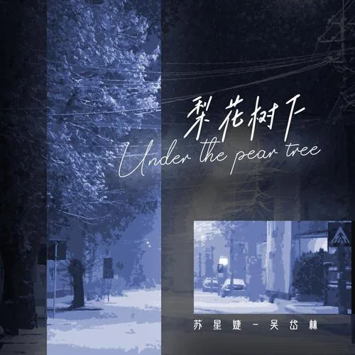 梨花樹下-蘇星婕&吳岱林