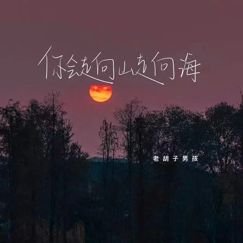 你會(huì)走向山走向海-老胡子男孩