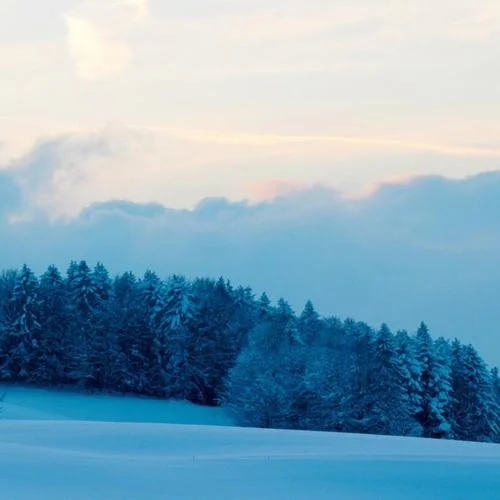 積木(伴奏)-楠楠哦