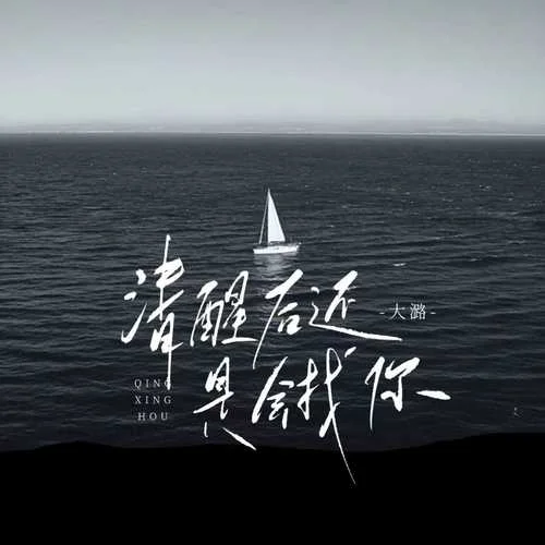 清醒后還是會(huì)找你 (女版DJ)-大潞