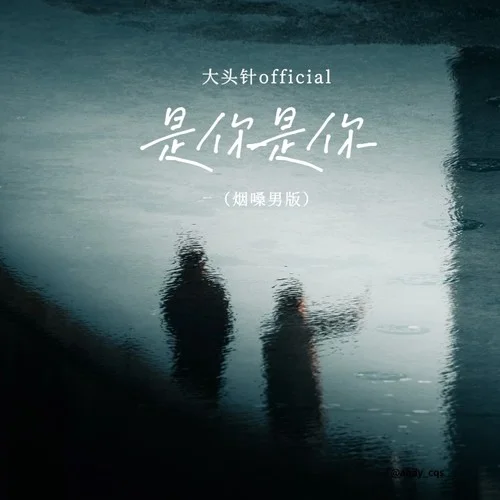 是你是你 (煙嗓男版)-大頭針 Official