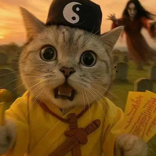 不得不哈(哈基米)-哈基米.