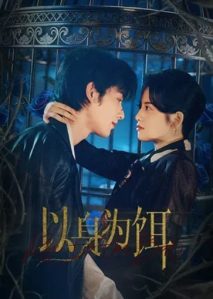 以身為餌（61集）申浩男＆阿尚（魏江）