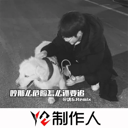 后來遇見他(DJ版)-MC沈6