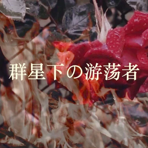 群星下的游蕩者-Calia-林焰