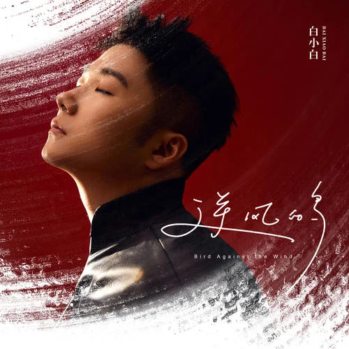 逆風的鳥-白小白