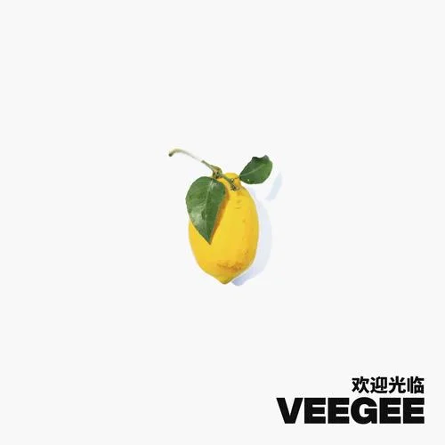 歡迎光臨-Veegee徐若僑