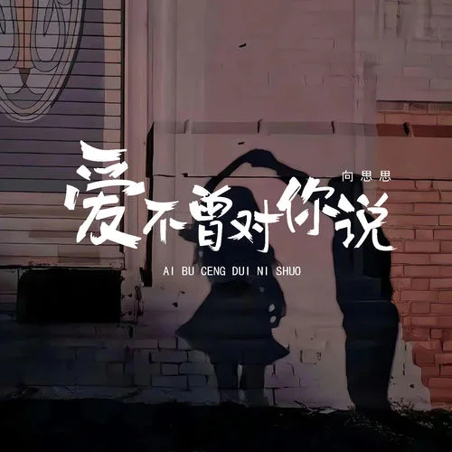 愛不曾對你說 (伴奏)-向思思