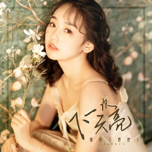 下一次天亮-魏晗（懋懋）