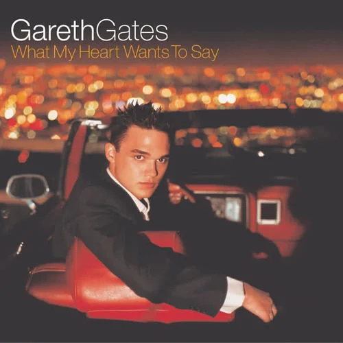 Too Serious Too Soon-Gareth Gates
