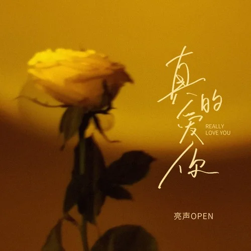 真的愛你 （DJPad仔版）-亮聲open