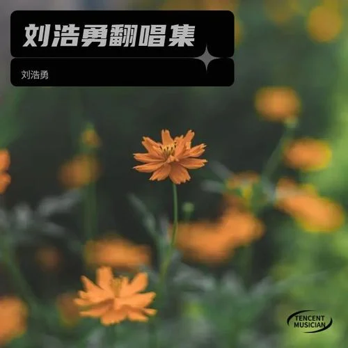 一曲紅塵（DJ默涵版） (cover: 郭少杰) (其他)-劉浩勇