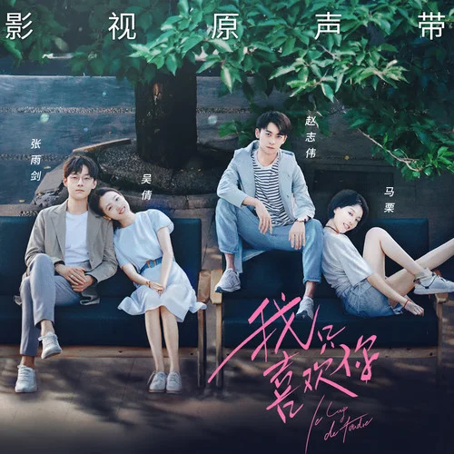 我只喜歡你-胡夏