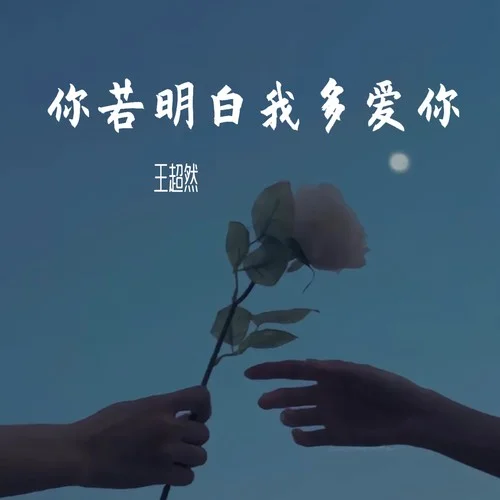 你若明白我多愛你-王超然