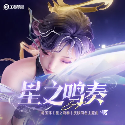 星之鳴奏-環(huán)環(huán)&王者榮耀