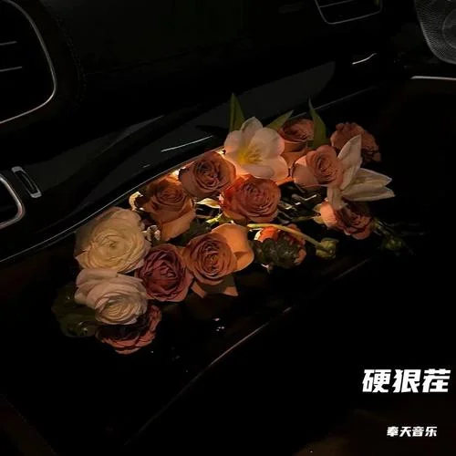 硬狠茬-奉天音樂(lè)