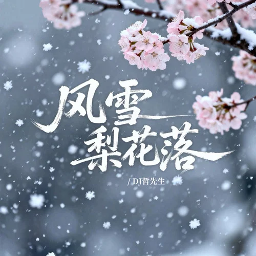 风雪梨花落 (压声版)-DJ哲先生