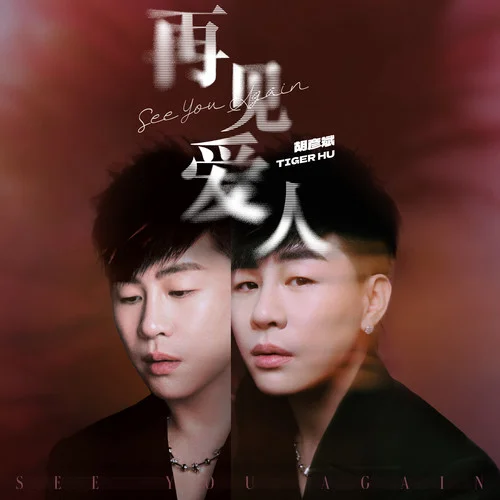 再见爱人-胡彦斌