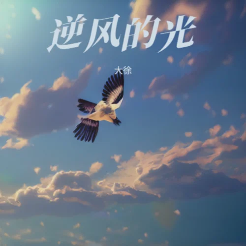 逆風(fēng)的光-大徐