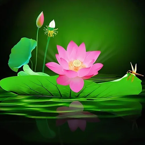 五音古法腦波養(yǎng)生 療愈音律-唐阡墨