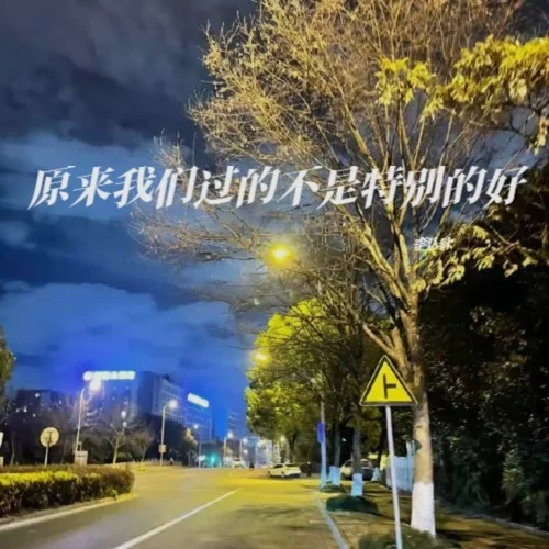 原來我們過的不是特別的好-李認針