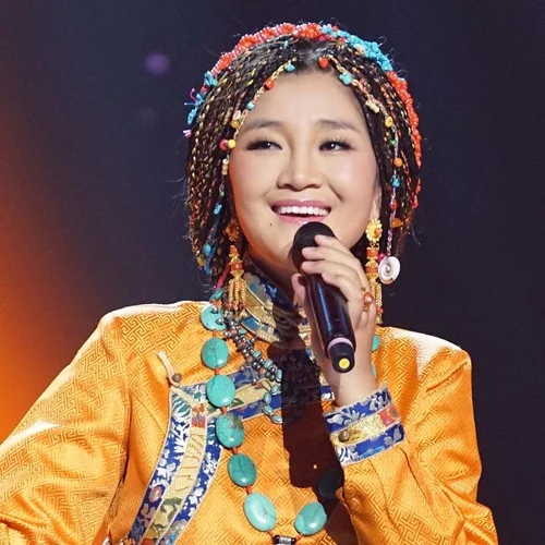 西海情歌 (升調(diào)版伴奏)-降央卓瑪