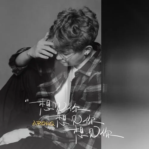 想见你想见你想见你-阿冗